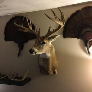 Meet your Posher, Chuck